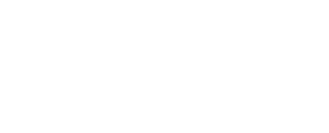 MECON-white-logo