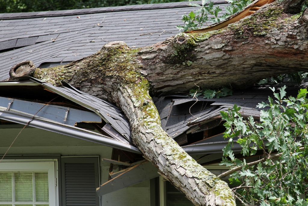 Business owner reviewing an insurance policy after storm damage, highlighting risks of underinsurance and the average clause in Australia.